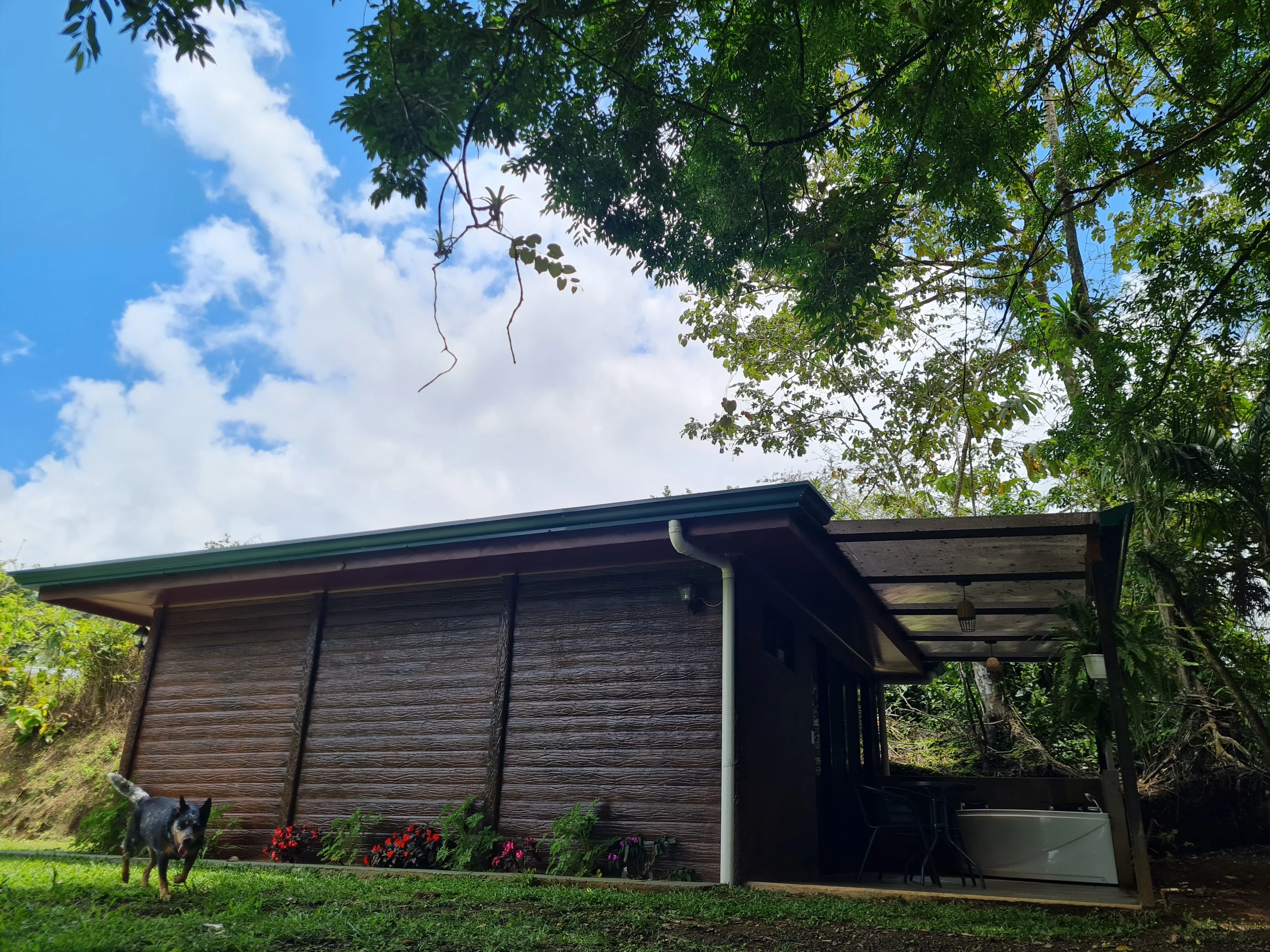Arenal Fortuna Property